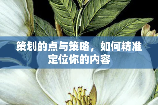 策划的点与策略，如何精准定位你的内容