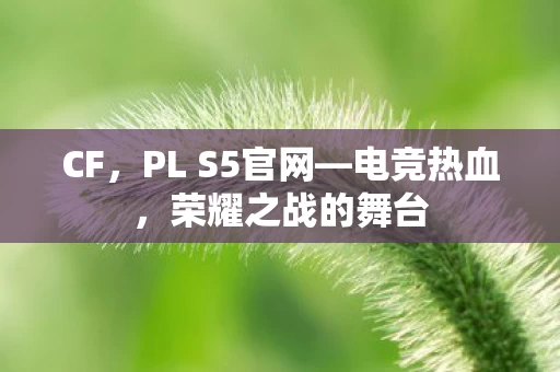 PL S5官网图片
