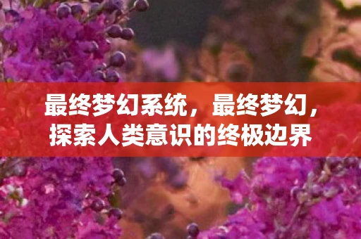 最终梦幻系统，最终梦幻，探索人类意识的终极边界