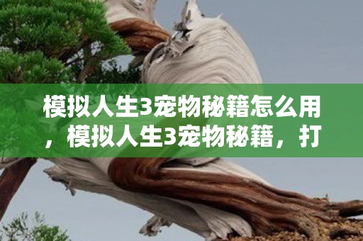 模拟人生3宠物秘籍怎么用，模拟人生3宠物秘籍，打造你的宠物王国