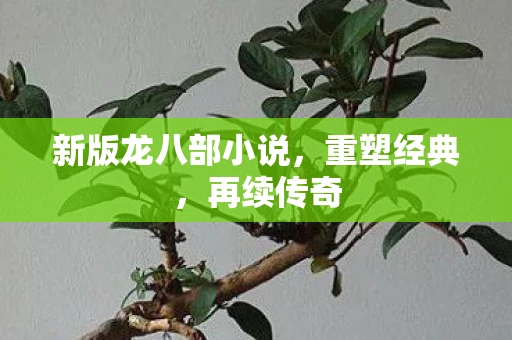 新版龙八部小说，重塑经典，再续传奇
