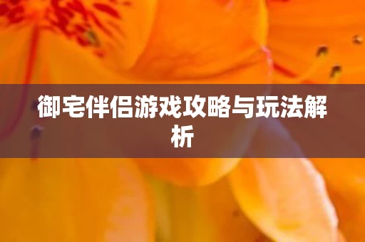 御宅伴侣游戏攻略与玩法解析图片