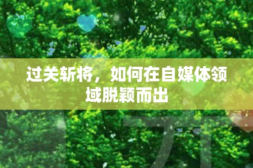 过关斩将，如何在自媒体领域脱颖而出