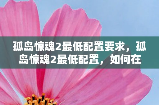 孤岛惊魂2最低配置要求,孤岛惊魂2最低配置,如何在有限资源下打造顶级游戏体验 孤岛惊魂2最低配置要求,孤岛惊魂2最低配置,如何在有限资源下打造顶级游戏体验