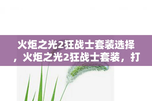 火炬之光2狂战士套装选择，火炬之光2狂战士套装，打造最强战斗力的必备指南