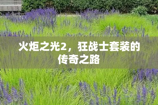 火炬之光2,狂战士套装的传奇之路 火炬之光2,狂战士套装的传奇之路