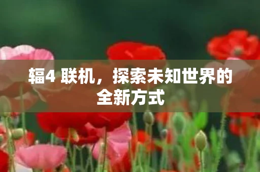 辐4 联机，探索未知世界的全新方式