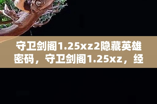 守卫剑阁1.25xz2隐藏英雄密码，守卫剑阁1.25xz，经典游戏的传承与革新