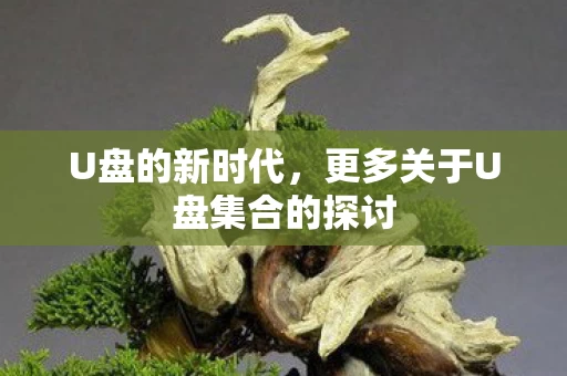 更多关于U盘集合的探讨图片