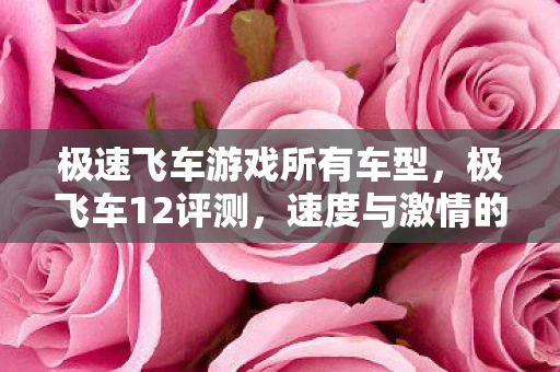 极速飞车游戏所有车型，极飞车12评测，速度与激情的终极盛宴