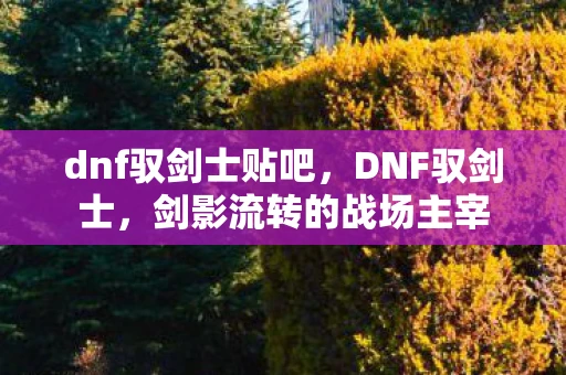 dnf驭剑士贴吧，DNF驭剑士，剑影流转的战场主宰