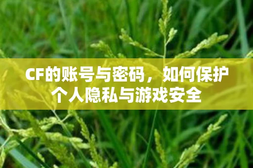 CF的账号与密码，如何保护个人隐私与游戏安全