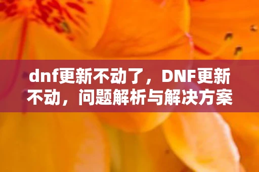 dnf更新不动了,DNF更新不动,问题解析与解决方案 dnf更新不动了,DNF更新不动,问题解析与解决方案