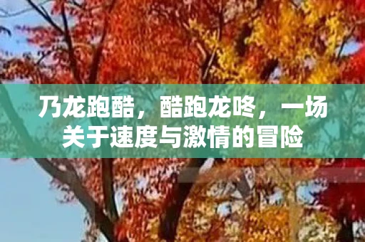 乃龙跑酷,酷跑龙咚,一场关于速度与激情的冒险 乃龙跑酷,酷跑龙咚,一场关于速度与激情的冒险