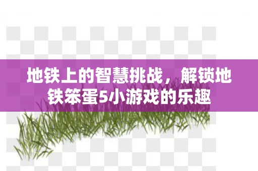 地铁上的智慧挑战，解锁地铁笨蛋5小游戏的乐趣