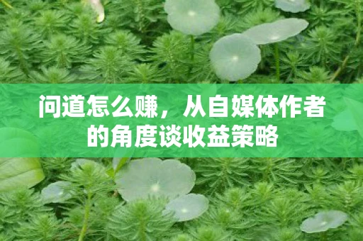 问道怎么赚，从自媒体作者的角度谈收益策略