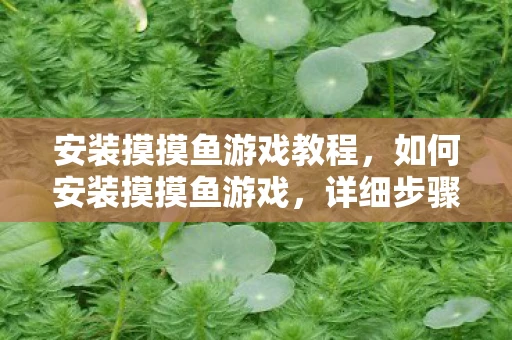 安装摸摸鱼游戏教程，如何安装摸摸鱼游戏，详细步骤与注意事项
