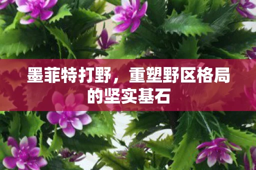 墨菲特打野，重塑野区格局的坚实基石