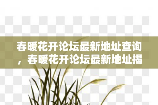 春暖花开论坛最新地址查询，春暖花开论坛最新地址揭秘，探索网络社区的无限可能