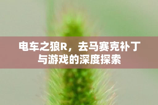 去马赛克补丁与游戏的深度探索图片