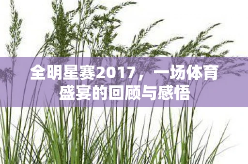 全明星赛2017，一场体育盛宴的回顾与感悟
