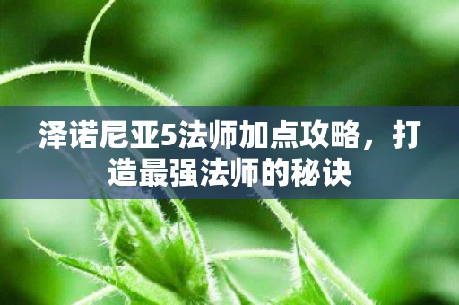 泽诺尼亚5法师加点攻略,打造最强法师的秘诀 泽诺尼亚5法师加点攻略,打造最强法师的秘诀