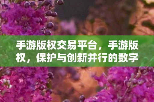 手游版权交易平台，手游版权，保护与创新并行的数字时代挑战