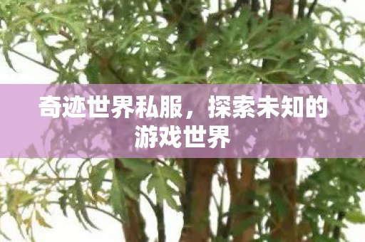 奇迹世界私服，探索未知的游戏世界