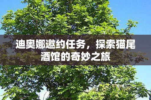 迪奥娜邀约任务，探索猫尾酒馆的奇妙之旅