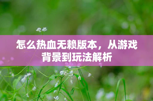 怎么热血无赖版本，从游戏背景到玩法解析