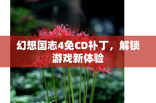幻想国志4免CD补丁,解锁游戏新体验 幻想国志4免CD补丁,解锁游戏新体验