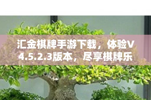 汇金棋牌手游下载图片