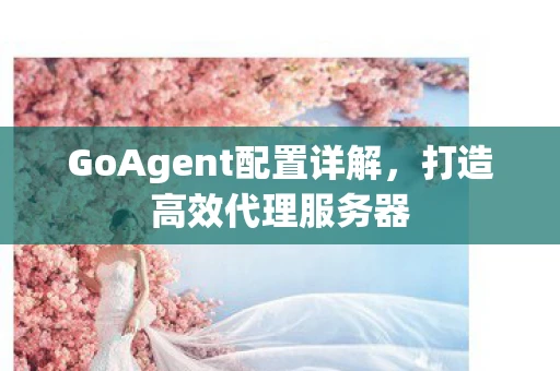 GoAgent配置详解,打造高效代理服务器 GoAgent配置详解,打造高效代理服务器