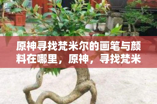 原神寻找梵米尔的画笔与颜料在哪里,原神,寻找梵米尔的画笔与颜料 原神寻找梵米尔的画笔与颜料在哪里,原神,寻找梵米尔的画笔与颜料