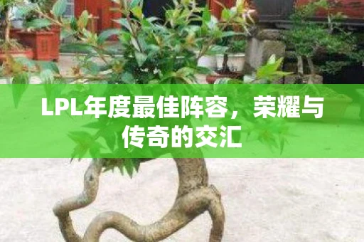 LPL年度最佳阵容，荣耀与传奇的交汇