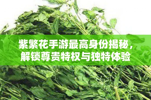 紫繁花手游最高身份揭秘，解锁尊贵特权与独特体验