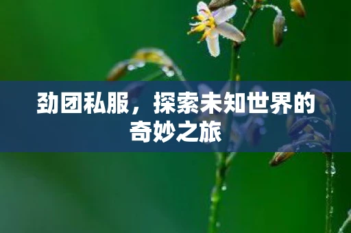 劲团私服，探索未知世界的奇妙之旅