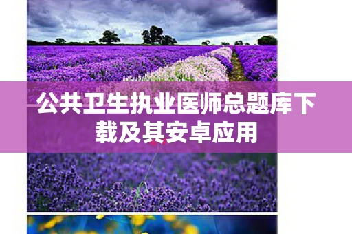 公共卫生执业医师总题库下载及其安卓应用图片