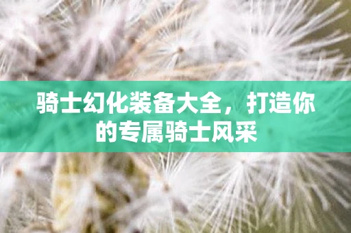 骑士幻化装备大全，打造你的专属骑士风采