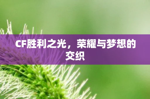 CF胜利之光,荣耀与梦想的交织 CF胜利之光,荣耀与梦想的交织