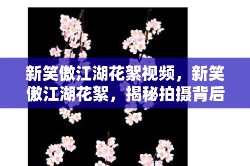 新笑傲江湖花絮视频,新笑傲江湖花絮,揭秘拍摄背后的故事 新笑傲江湖花絮视频,新笑傲江湖花絮,揭秘拍摄背后的故事