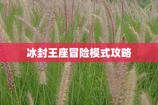 冰封王座冒险模式攻略 冰封王座冒险模式攻略