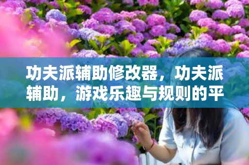 功夫派辅助修改器,功夫派辅助,游戏乐趣与规则的平衡 功夫派辅助修改器,功夫派辅助,游戏乐趣与规则的平衡