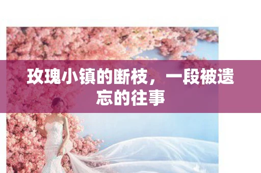 玫瑰小镇的断枝，一段被遗忘的往事