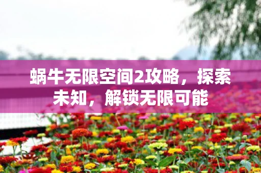 蜗牛无限空间2攻略，探索未知，解锁无限可能