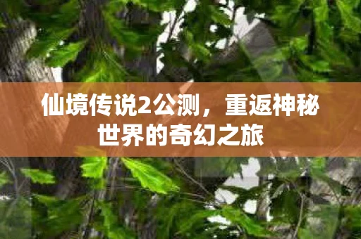 仙境传说2公测，重返神秘世界的奇幻之旅