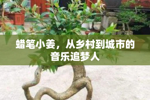 蜡笔小姜,从乡村到城市的音乐追梦人 蜡笔小姜,从乡村到城市的音乐追梦人