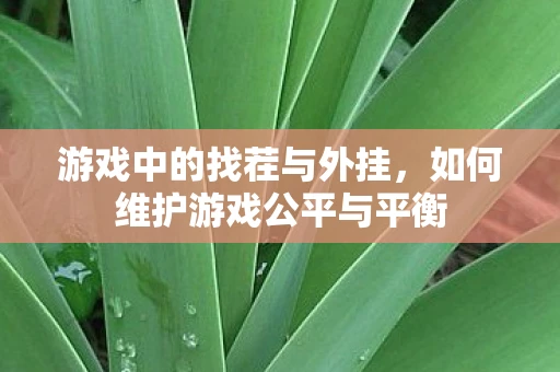 游戏中的找茬与外挂,如何维护游戏公平与平衡 游戏中的找茬与外挂,如何维护游戏公平与平衡