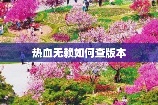热血无赖如何查版本