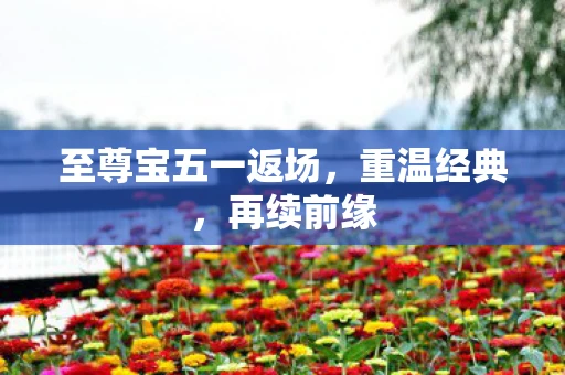 至尊宝五一返场,重温经典,再续前缘 至尊宝五一返场,重温经典,再续前缘